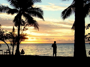夕日と椰子の木.JPG