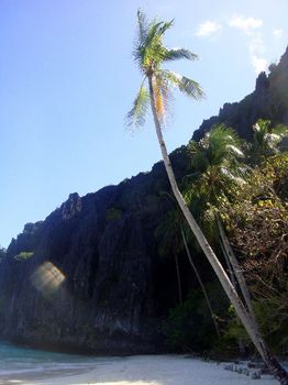 岩山からの光りと椰子の木.JPG