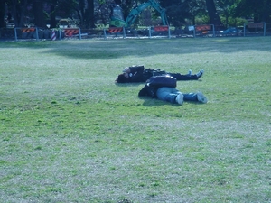 芝生でお昼寝.JPG